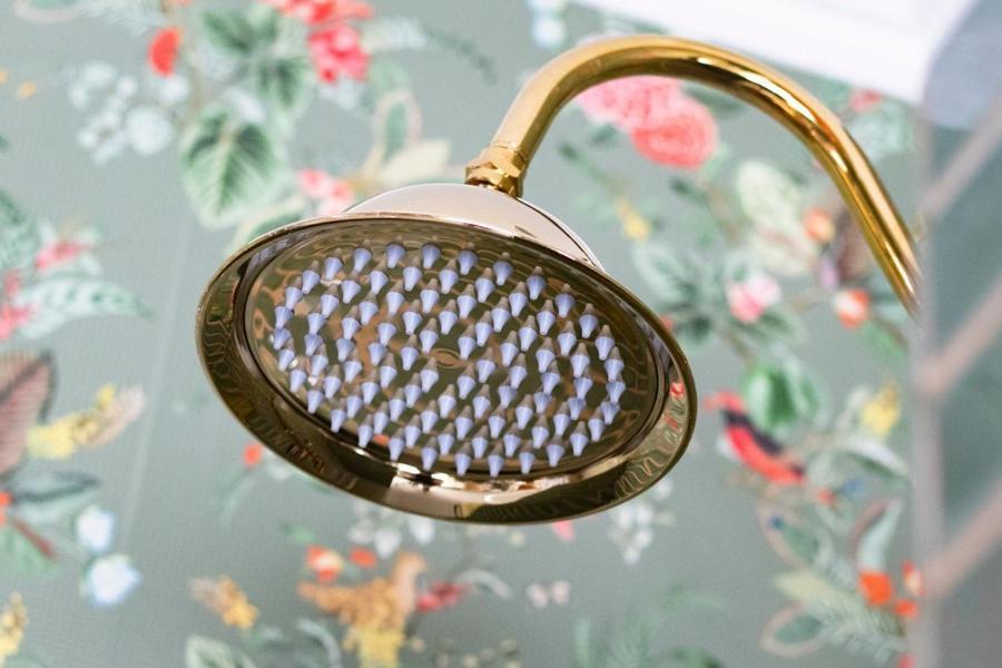 Hotellerie Het Wapen Van Athlone De Steeg Εξωτερικό φωτογραφία
